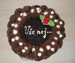 Narozeninová oslava Danušky (2019)